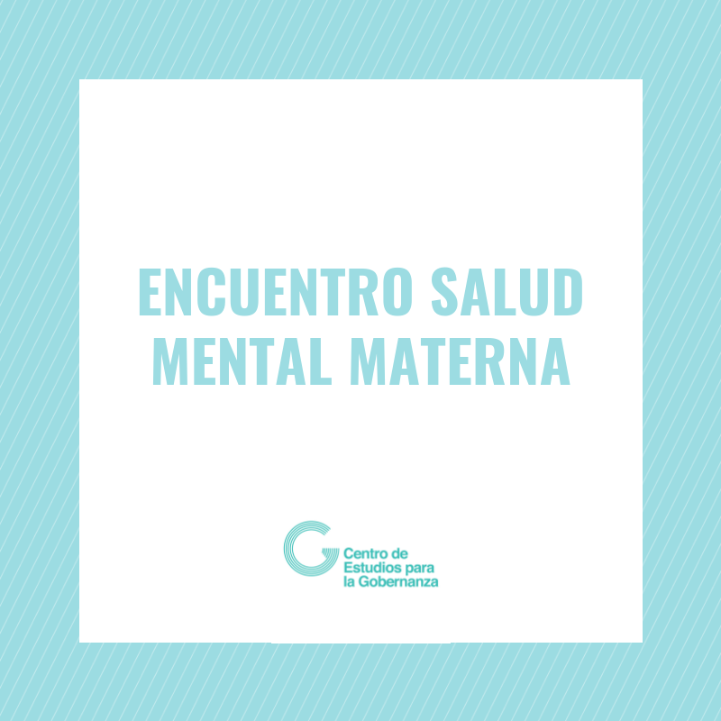 Participamos del encuentro sobre salud mental materna